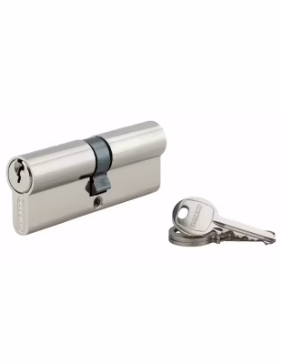 Cylindre de serrure double entrée SA, 40x40mm, anti-arrachement, nickel, vis 45mm, 3 clés – THIRARD