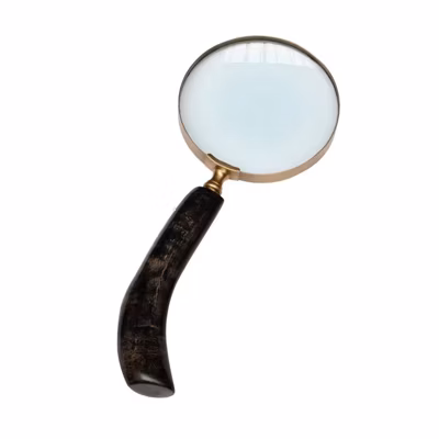 Loupe manche corne foncée 26x10cm