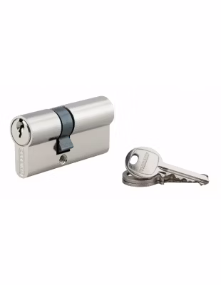 Cylindre de serrure double entrée SA, 25x40mm, anti-arrachement, nickel, 3 clés – THIRARD