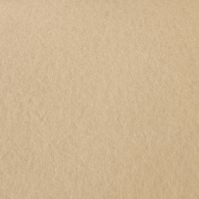 Moquette Stand Expo – Sable – Rouleau de 2m x 46m