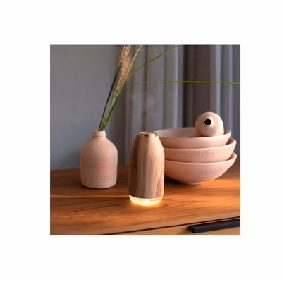 Humidificateur et diffuseur LIVOO DE122