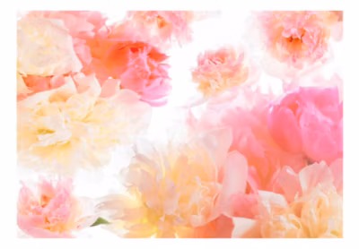 Papier peint intissé panoramique fleurs pastel peonies 100×70 cm