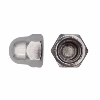 200 Ecrous Borgnes M8 mm – DIN 1587 – Inox A4 – D-Work