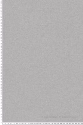 Papier peint expansé sur intissé Uni L.10.05 x l.0.53 m.  – Réf. AS-392166