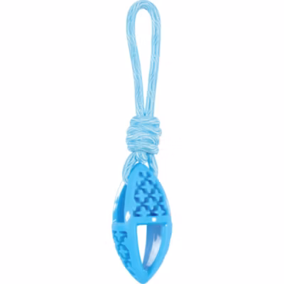 jeux pour chien ovale en TPR et corde longueur 27.5 cm , bleu