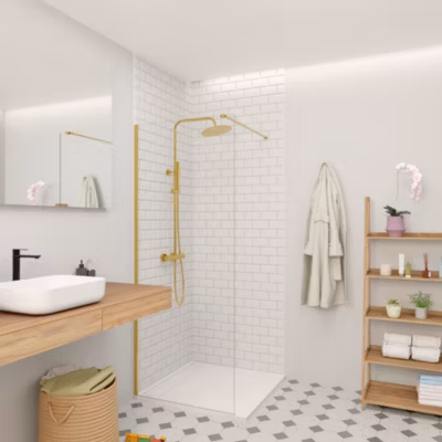 Swiss Aqua Technologies Walk-in 70x200cm Paroi en verre Crystal Glass 8 mm anticalcaire, avec bras et profilés or (SATBWI70PRZ)