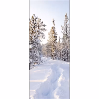 Sticker décoratif pour porte 83 cm X 204 cm – Sapin en montagne sur fond de neige fraiche