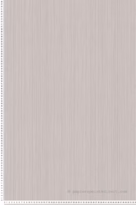 Papier peint vinyle sur intissé Uni L.10.05 x l.0.53 m.  – Réf. AS-388195