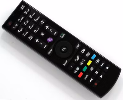 Télécommande de remplacement pour grandin ld49vg49279s 10097758