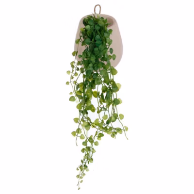 Lierre artificiel – pot en ciment – H62 cm – Atmosphera
