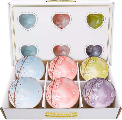 Lot de 6 bols en céramique 300ml colorés et durables