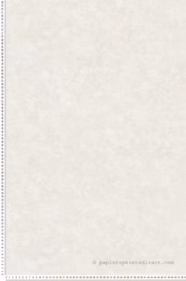 Papier peint vinyle sur intissé Uni L.10.05 x l.0.53 m.  – Réf. SP15541