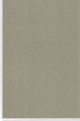 Papier peint vinyle sur intissé Uni L.10.05 x l.0.53 m.  – Réf. LTC-11250304