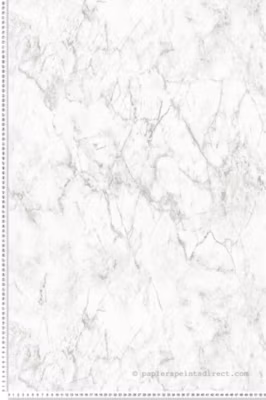 Papier peint vinyle sur intissé Trompe l&rsquo;oeil L.10.05 x l.0.53 m.  – Réf. AS-361573