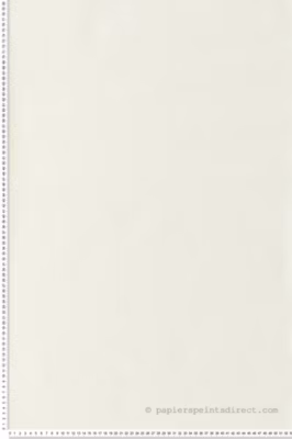 Papier peint vinyle sur intissé Uni L.10.05 x l.0.53 m.  – Réf. LTC-133277206