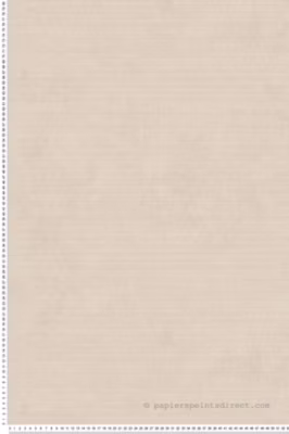 Papier peint vinyle sur intissé Uni L.10.05 x l.0.53 m.  – Réf. LTC-51233107