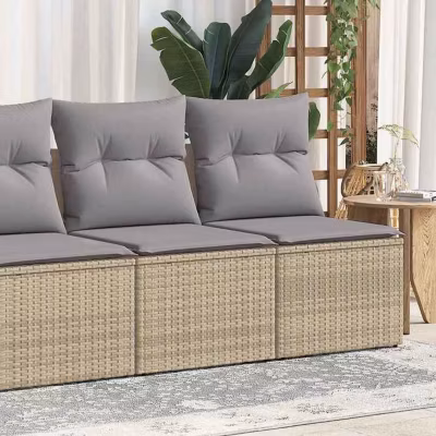 Salon de jardin vidaXL 2 pcs beige résine tressée acacia