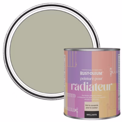 Peinture Beige pour Radiateur, Finition Brillante – RUST-OLEUM – Grège 750ml