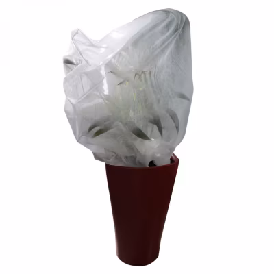 Lot de 2 housses de protection pour plantes – 1.60 x 2 m – 30g/m2 – Blanc – Linxor