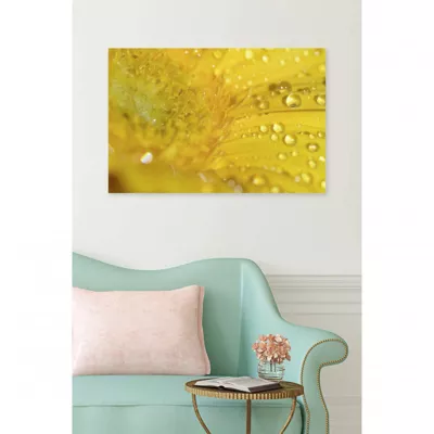 Tableau verre acrylique Arles fleur jaune macro 90 x 60 cm – Décoration murale photo pour la maison
