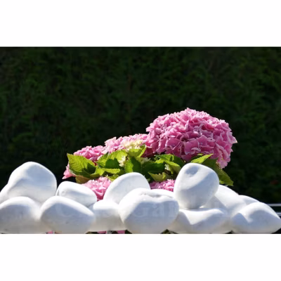 Galet Blanc Brillant 60-100 – Pack de 50 sacs – 1000 kg
