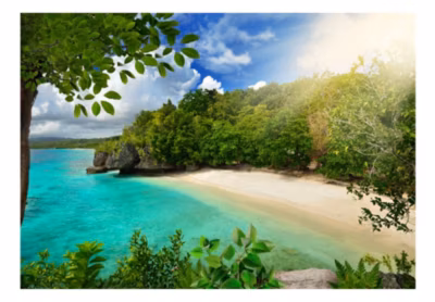 Papier peint intissé panoramique paysage sunny beach 100×70 cm