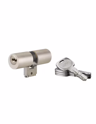 Cylindre adaptateur rond T2 BLCT, 33x33mm, diamètre 22mm, 4 clés – THIRARD