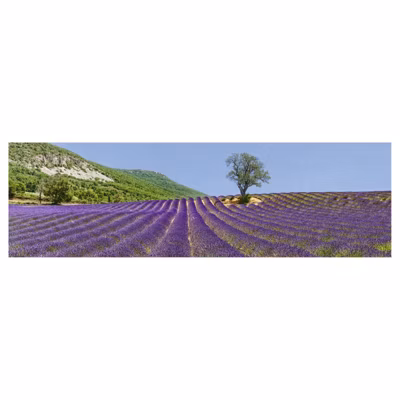 Brise vue imprimé POET SIGILLAT, H.1.5 x L.5 m, 100% occultant, Made in France par Scenolia + kit de fixation offert