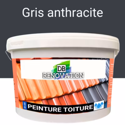 Peinture Toiture – Rénovation tuile – Gris anthracite 12KG (jusqu&rsquo;à 120m²) Haute étanchéité / Imperméabilité – DB RENOVATION