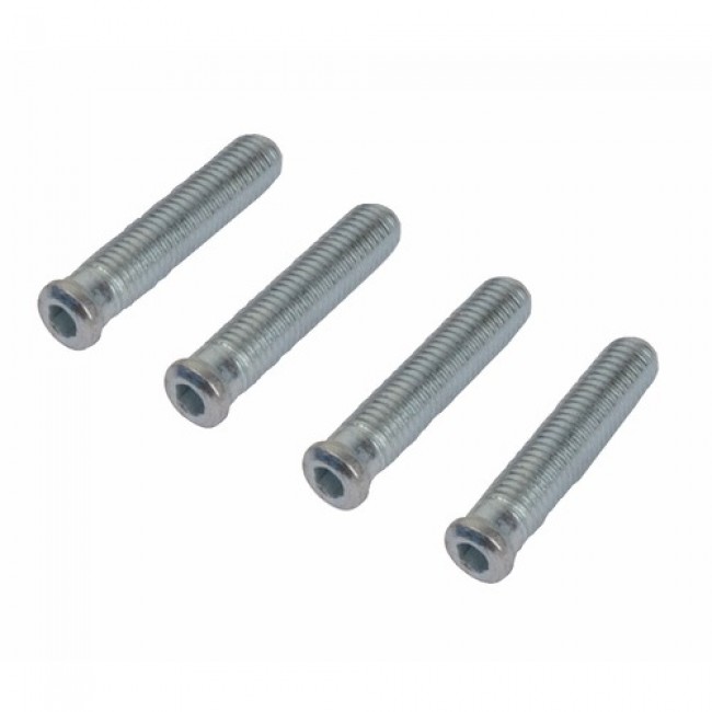 Vis de fixation auto- taraudeuses – pour paumelles Loira+ FAPIM