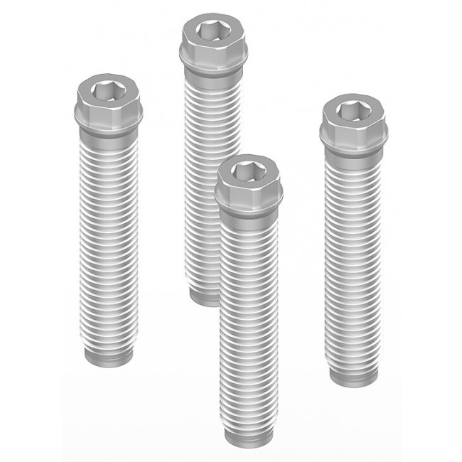 Kit de 4 vis d'ancrage pour paumelle DIAM à 2 lames – Ø12 mm LA CROISÉE DS